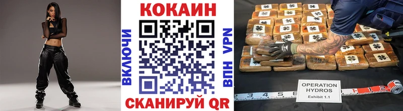 Cocaine 99%  что такое   мега зеркало  Заводоуковск 