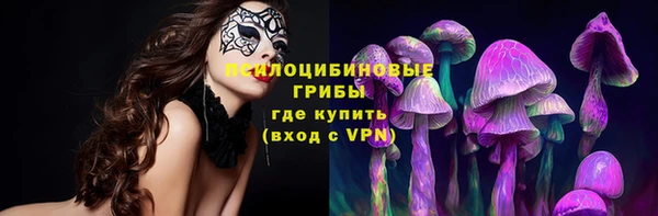 mdpv Елабуга