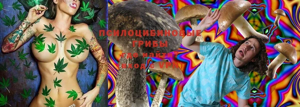 mdpv Елабуга