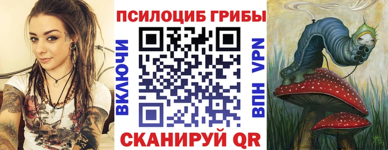 где можно купить наркотик  Заводоуковск  Галлюциногенные грибы Psilocybine cubensis 